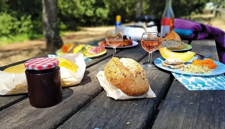 Préparer un repas en plein air les essentiels pour un déjeuner champêtre réussi