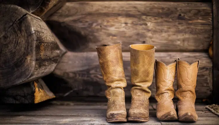 Acheter un kit pour l'entretien des chaussures en cuir